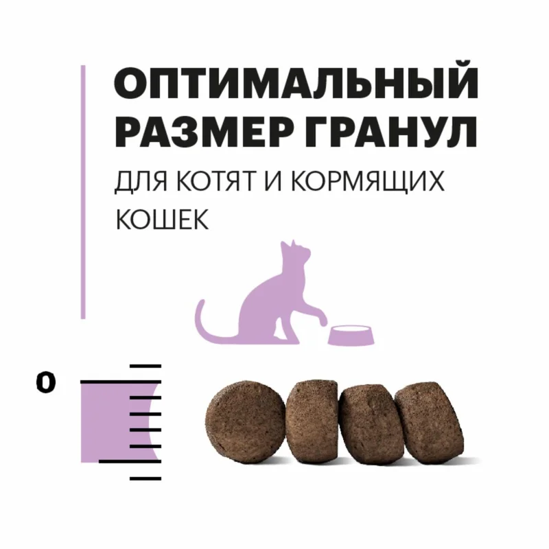 Изображение корма 3