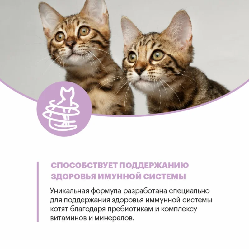 Изображение корма 5