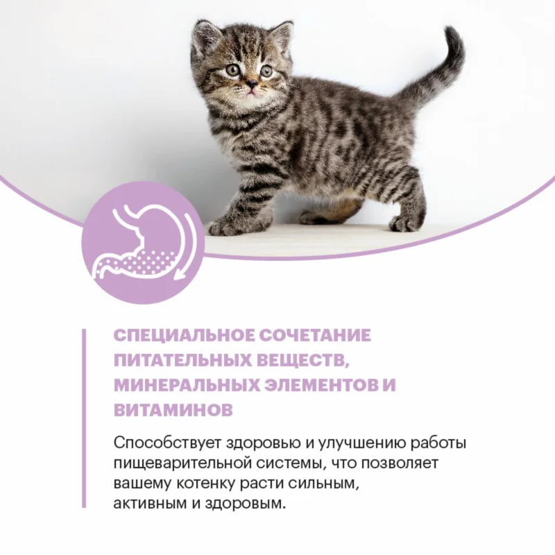 Изображение корма 6