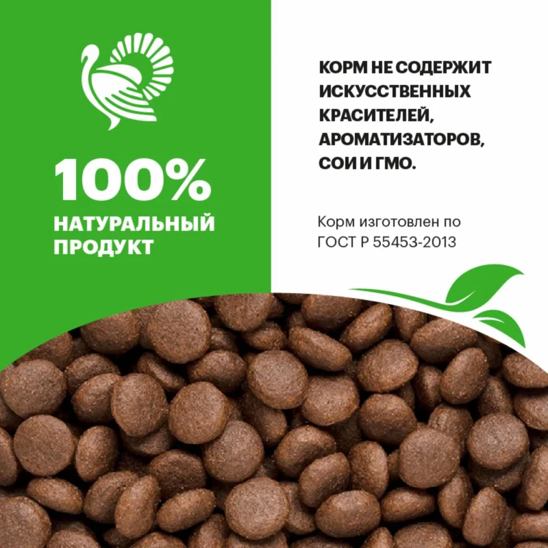 Изображение корма 2