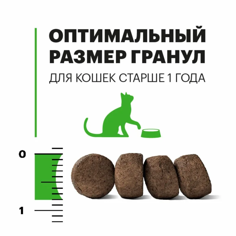 Изображение корма 3