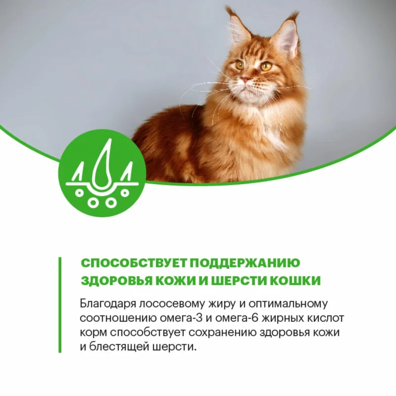 Изображение корма 5