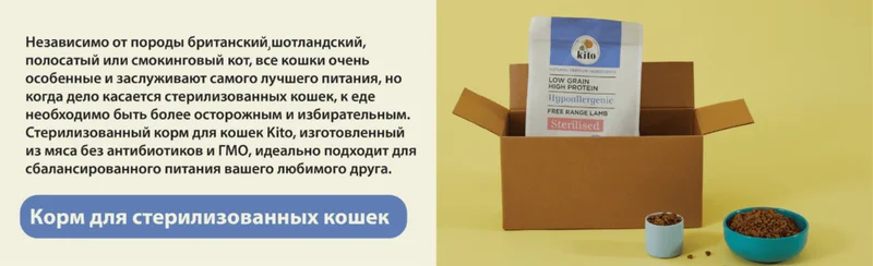 Изображение корма 4
