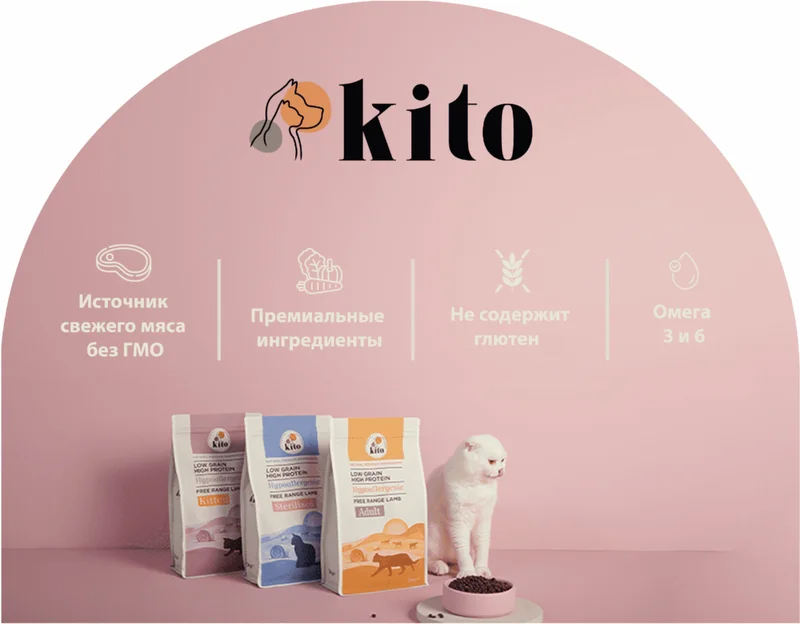Изображение корма 6
