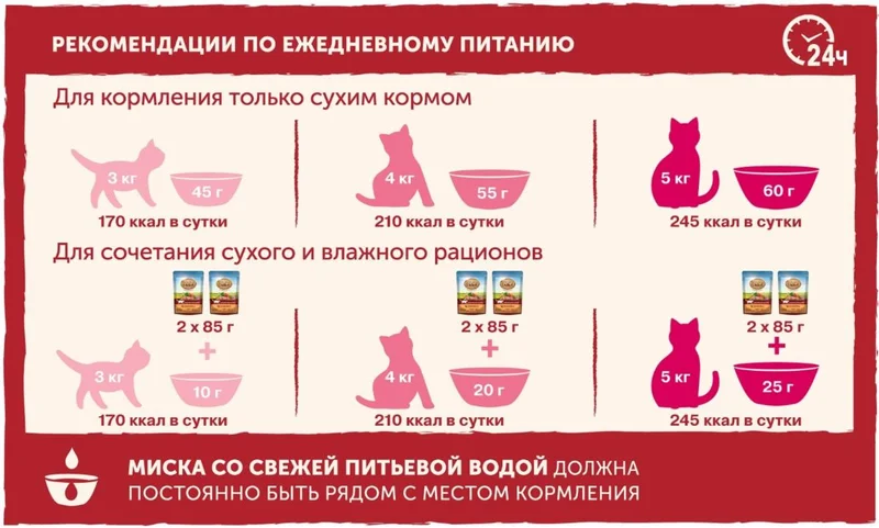 Изображение корма 3