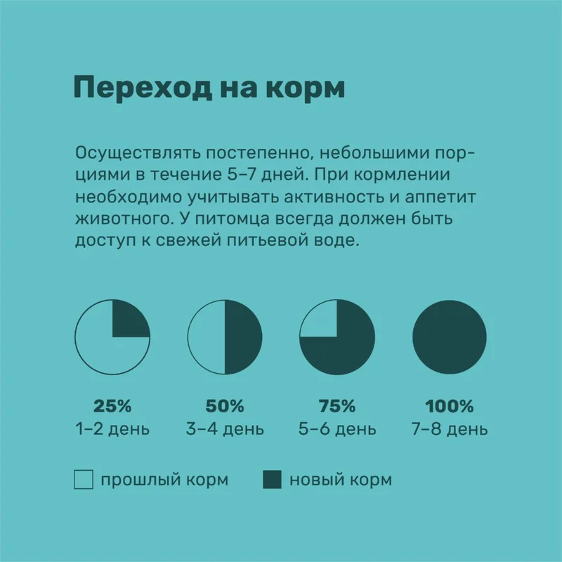 Изображение корма 5
