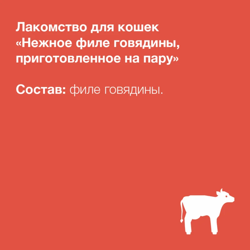 Изображение корма 2
