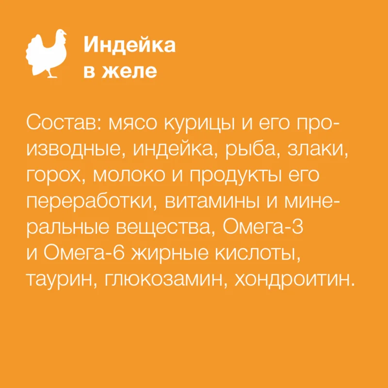 Изображение корма 3