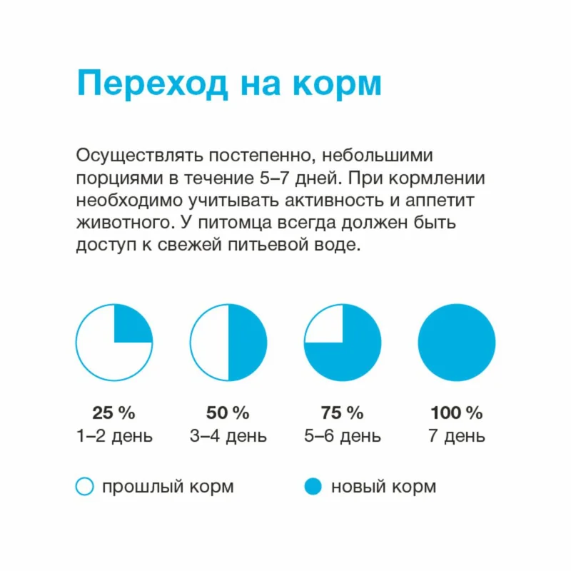 Изображение корма 6