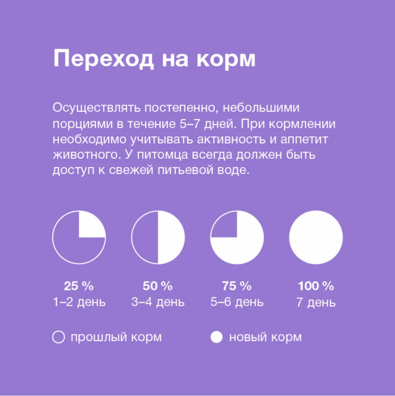Изображение корма 3