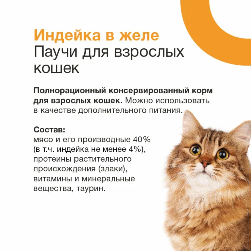 Изображение корма 2