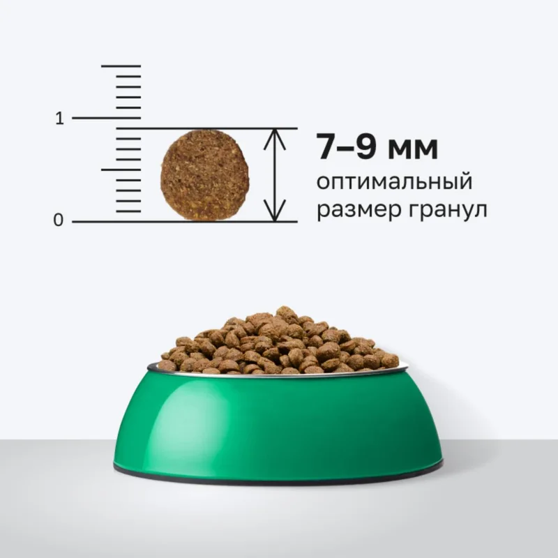 Изображение корма 4