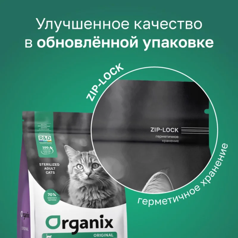 Изображение корма 6