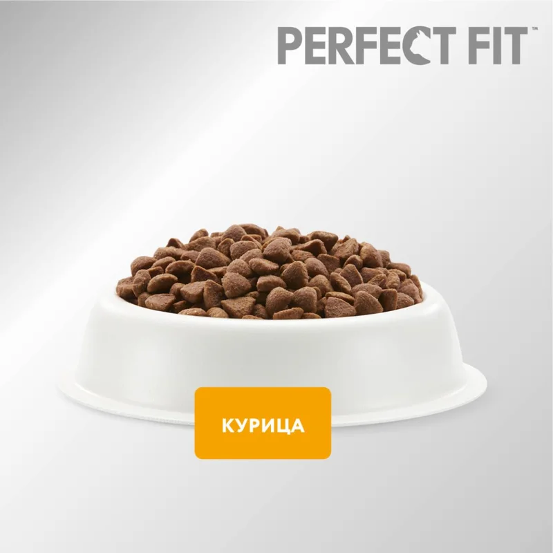 Изображение корма 2