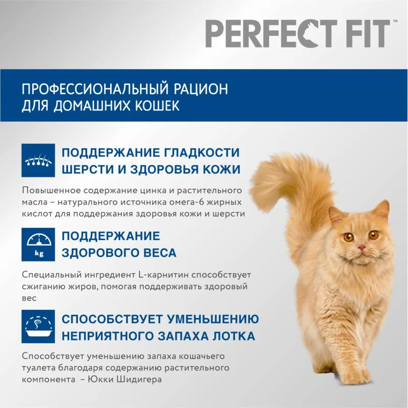 Изображение корма 3