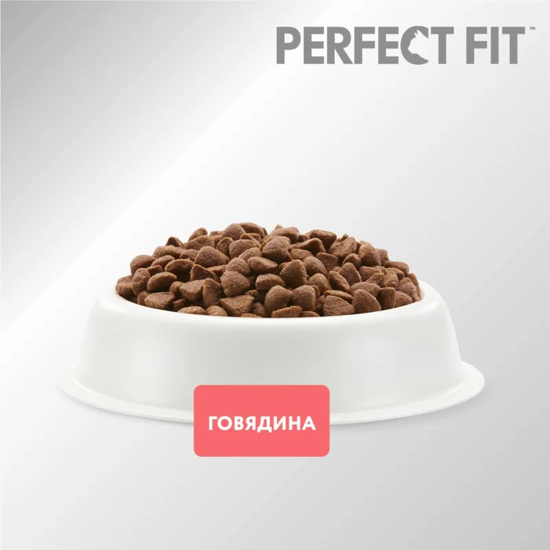 Изображение корма 2