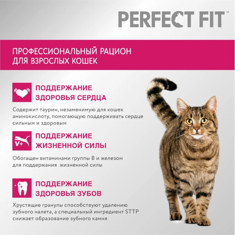 Изображение корма 3