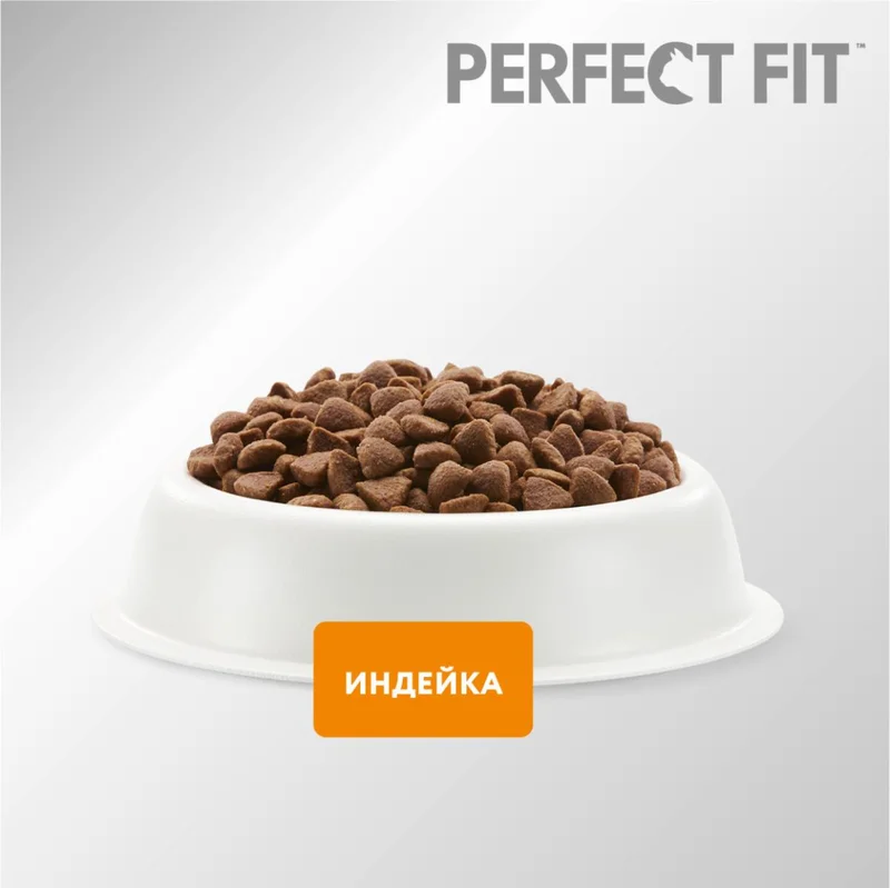 Изображение корма 2
