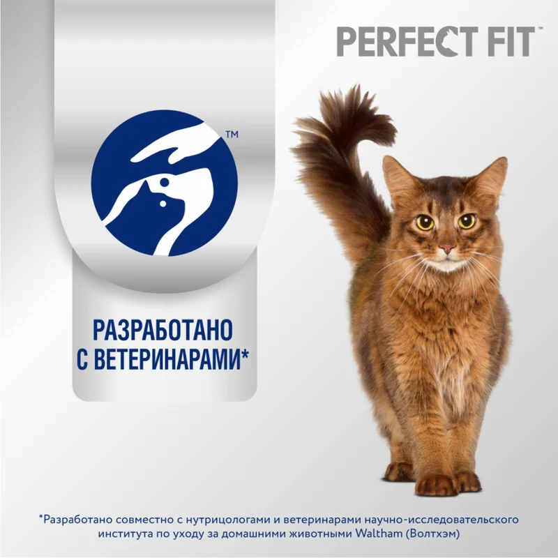 Изображение корма 4