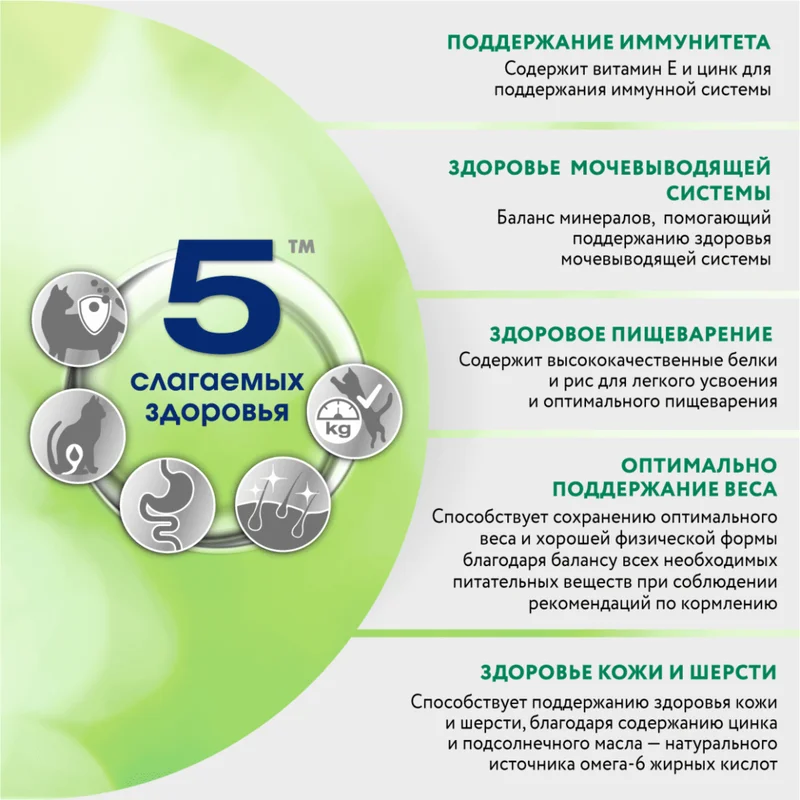Изображение корма 3