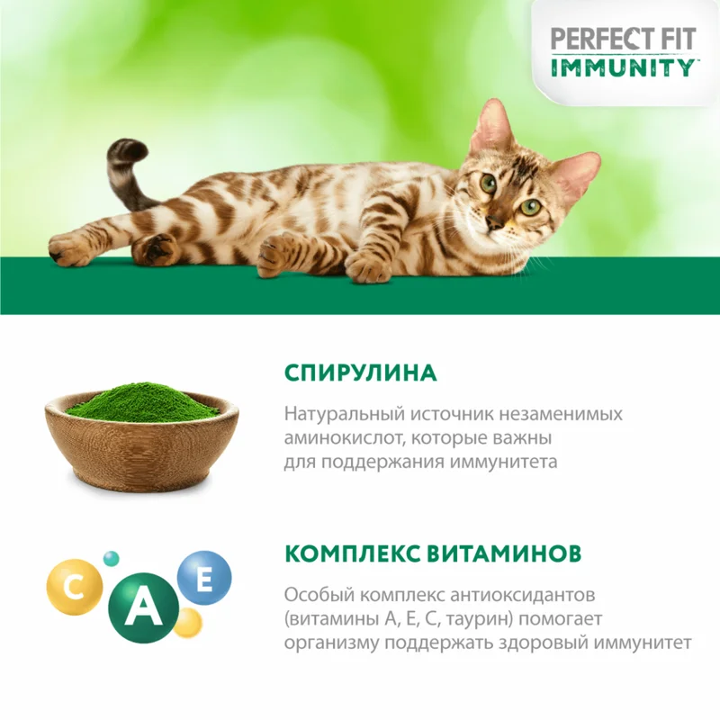 Изображение корма 5