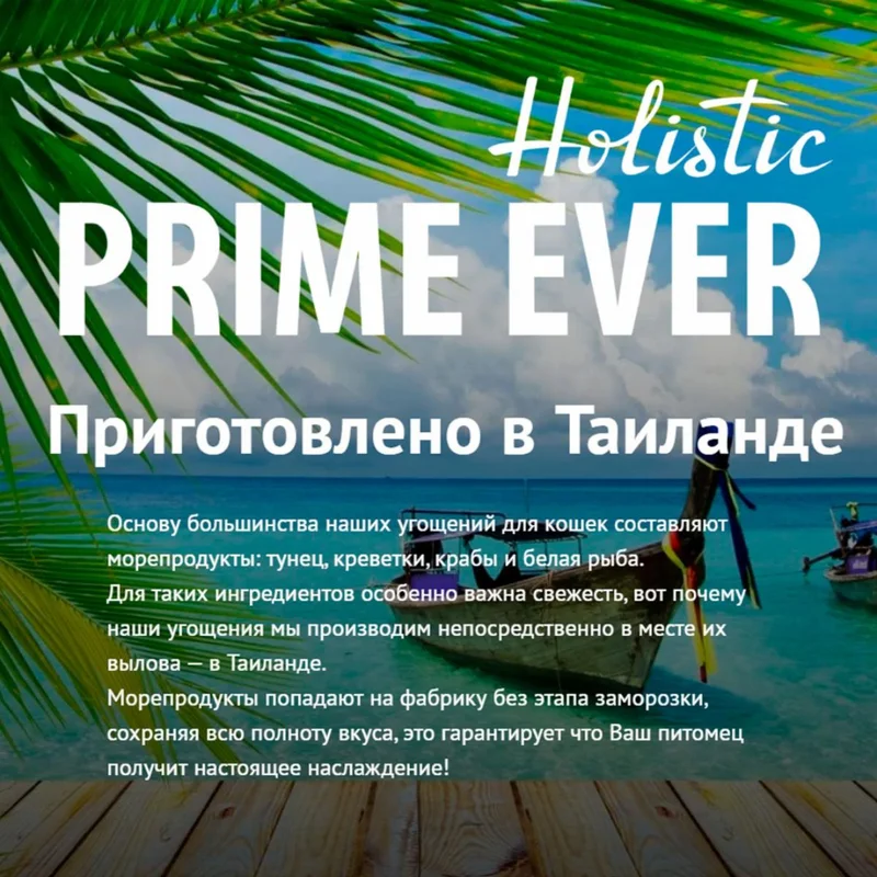 Изображение корма 4