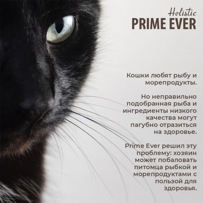 Изображение корма 5