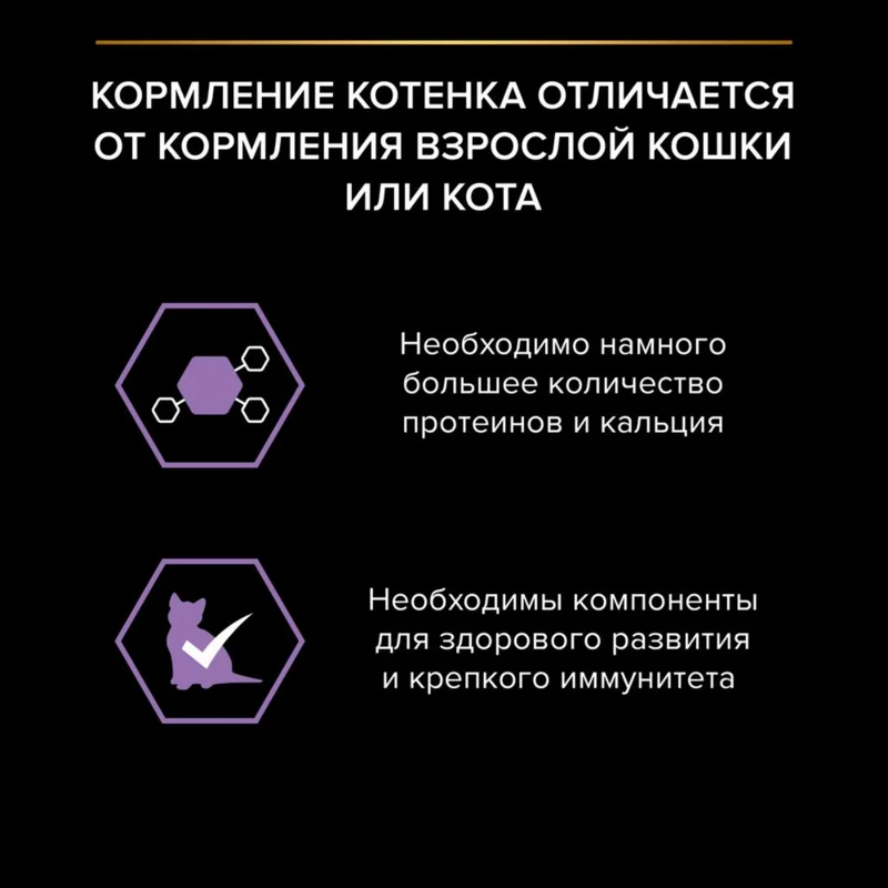 Изображение корма 3