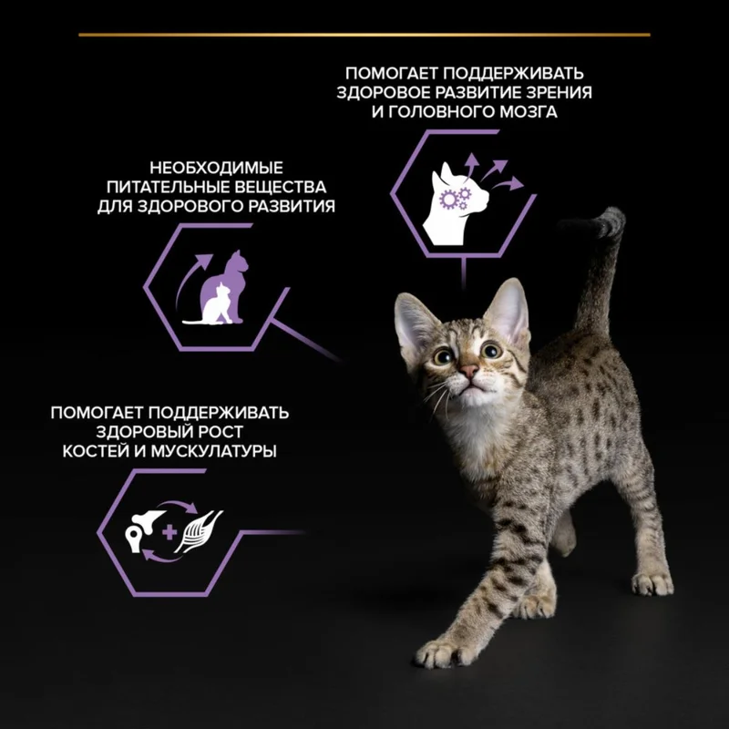 Изображение корма 4