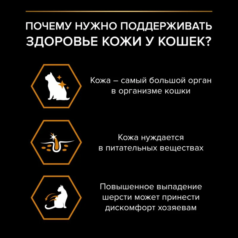 Изображение корма 4
