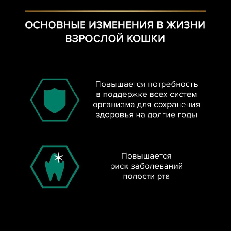 Изображение корма 2