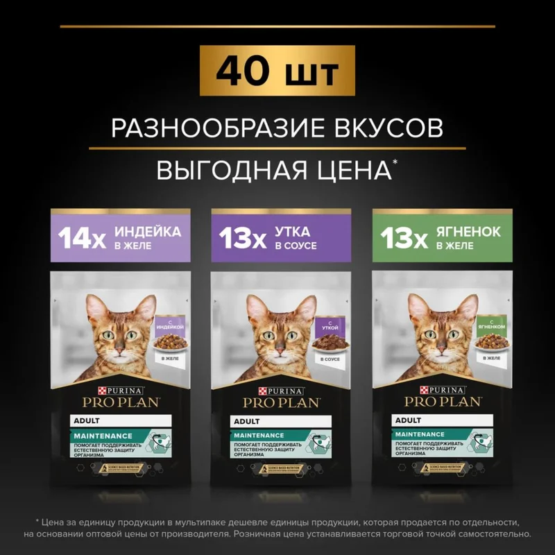 Изображение корма 3