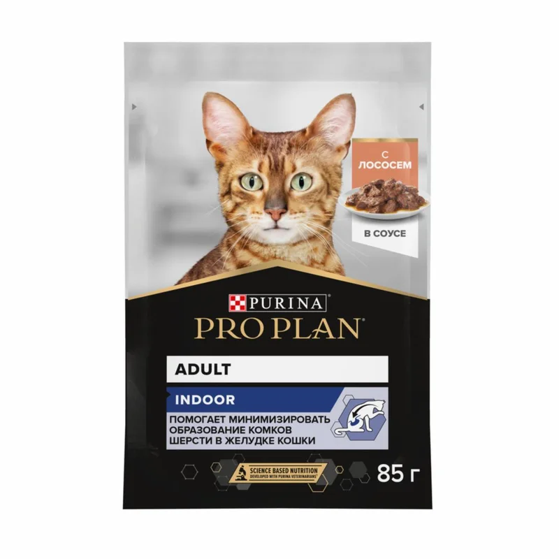 Изображение корма 1