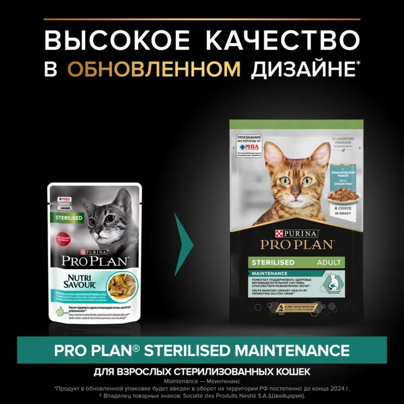 Изображение корма 5