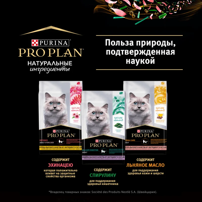 Изображение корма 1