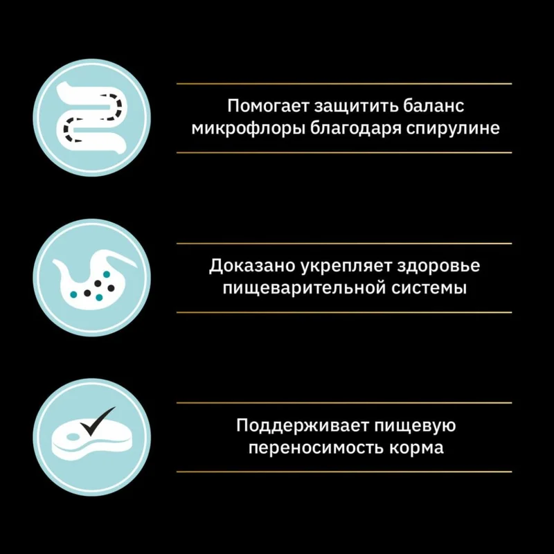 Изображение корма 2