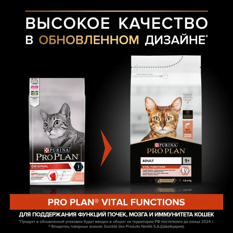 Изображение корма 1