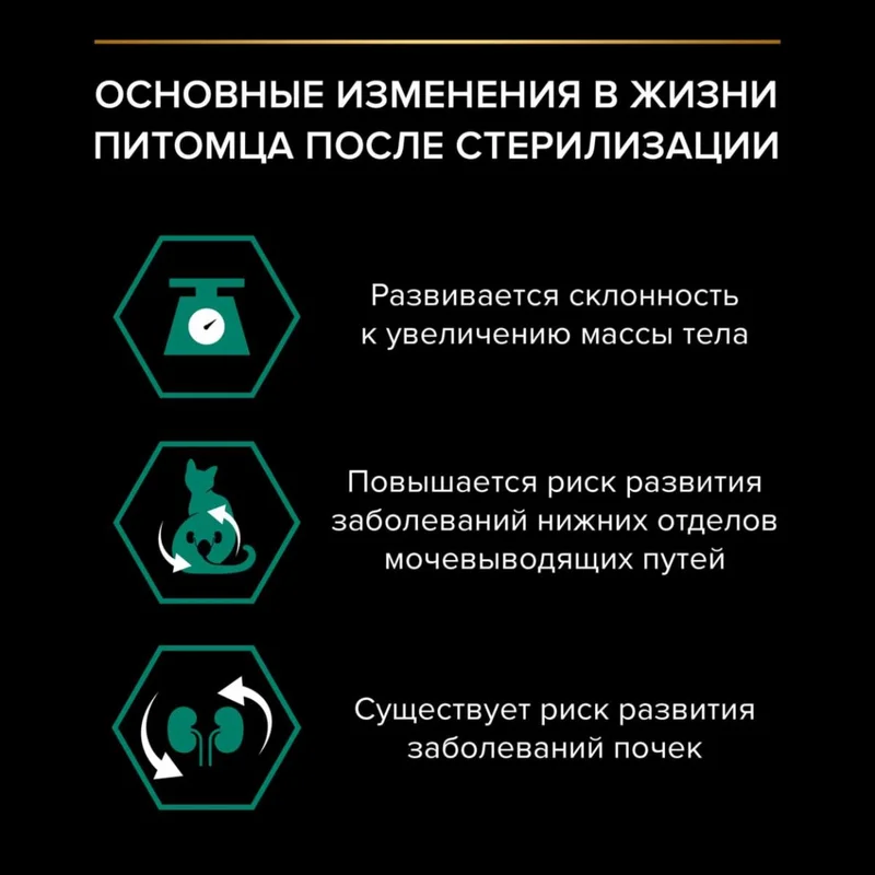 Изображение корма 2