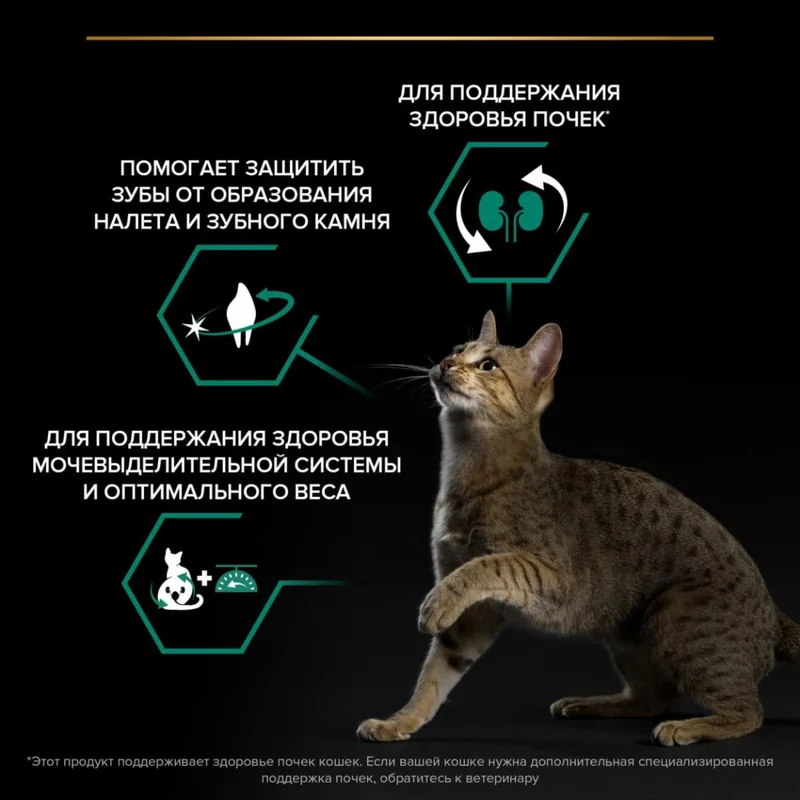 Изображение корма 3