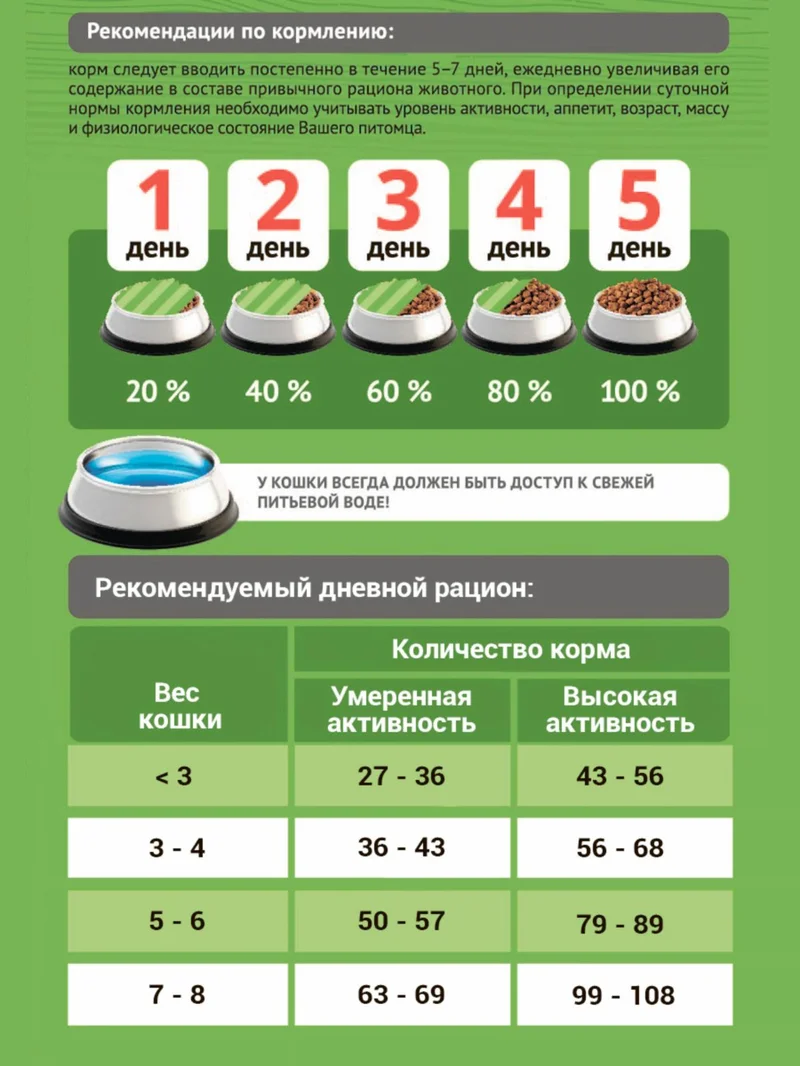 Изображение корма 5