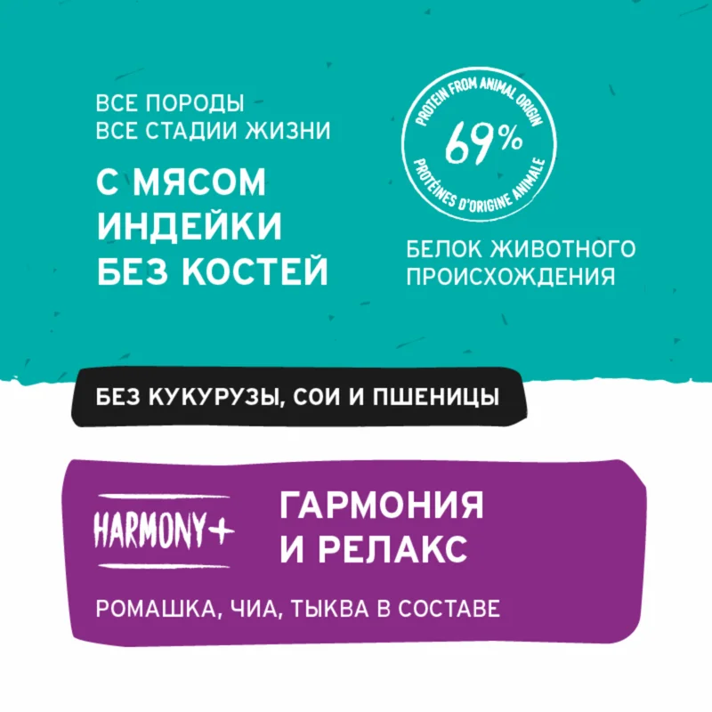 Изображение корма 4