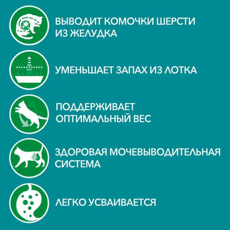 Изображение корма 2