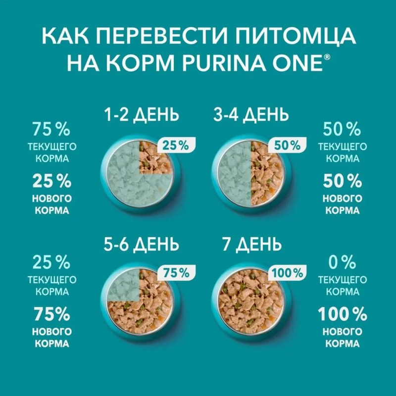Изображение корма 6