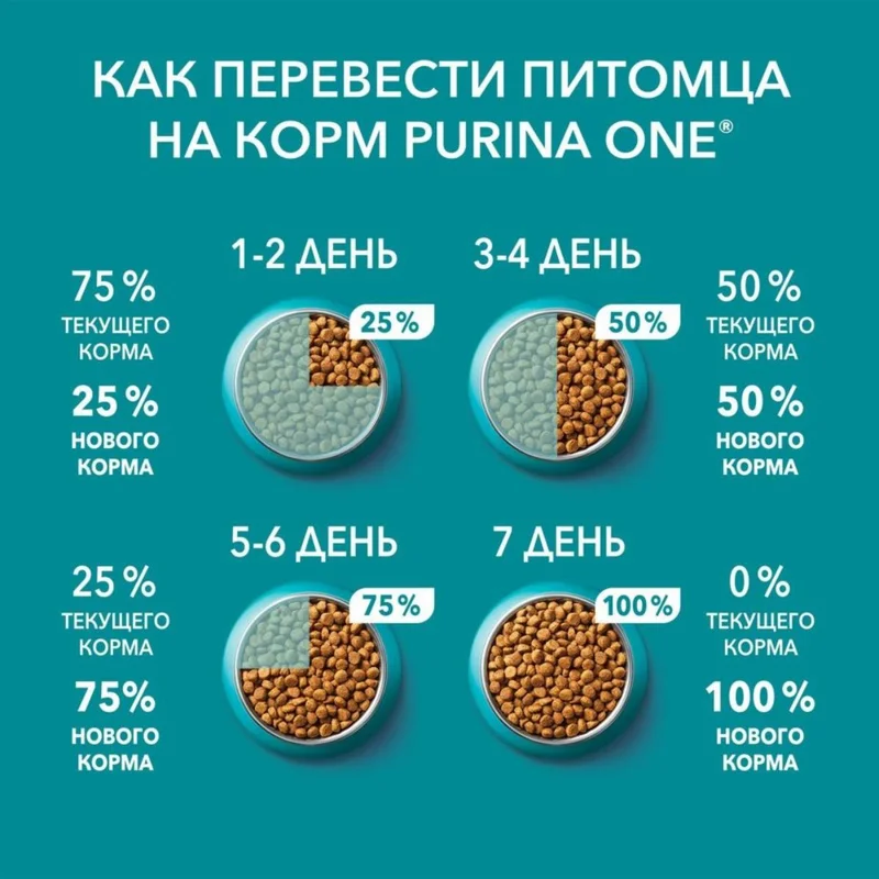 Изображение корма 5