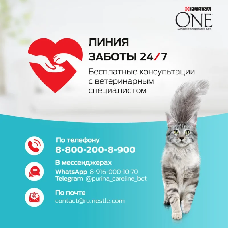 Изображение корма 6