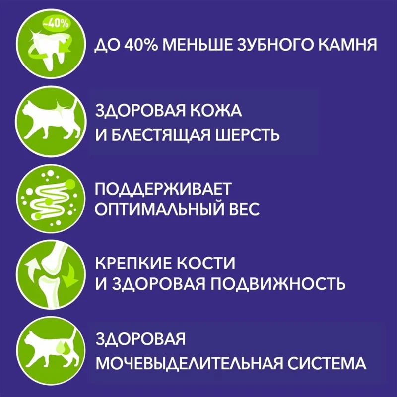 Изображение корма 2