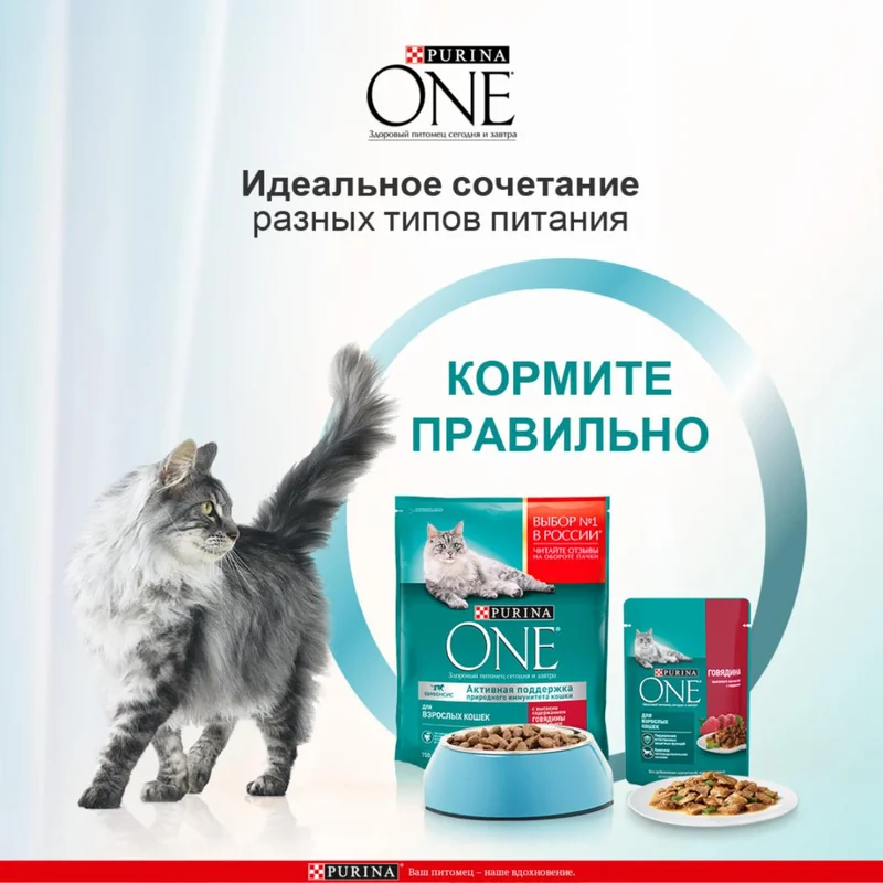Изображение корма 3