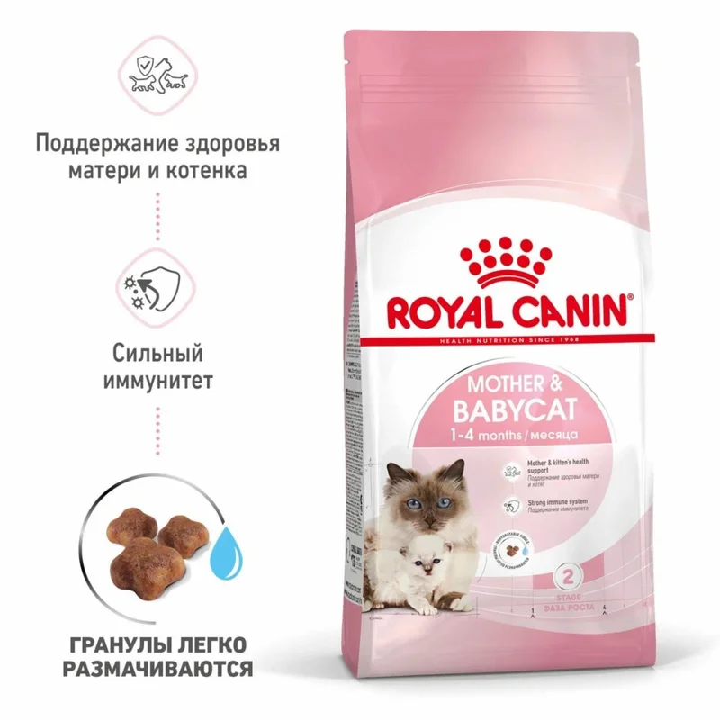 Изображение корма 1