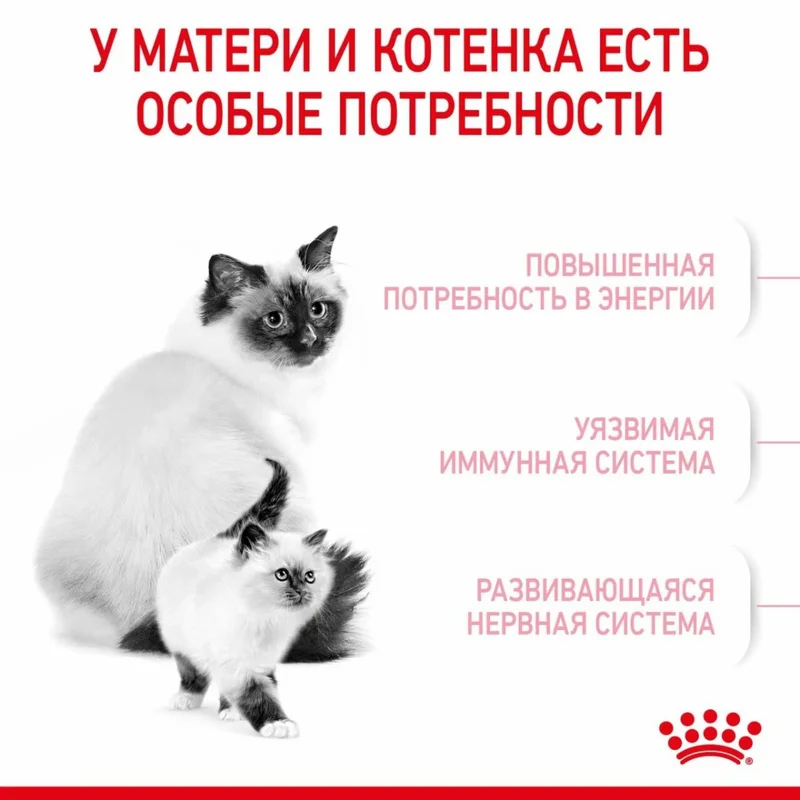 Изображение корма 2