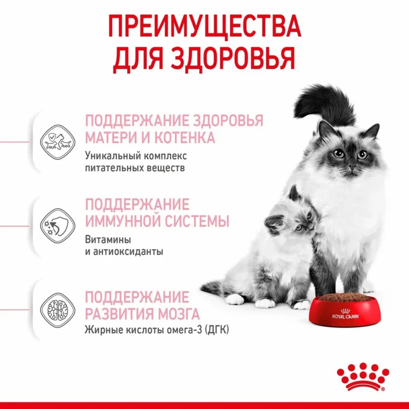 Изображение корма 3